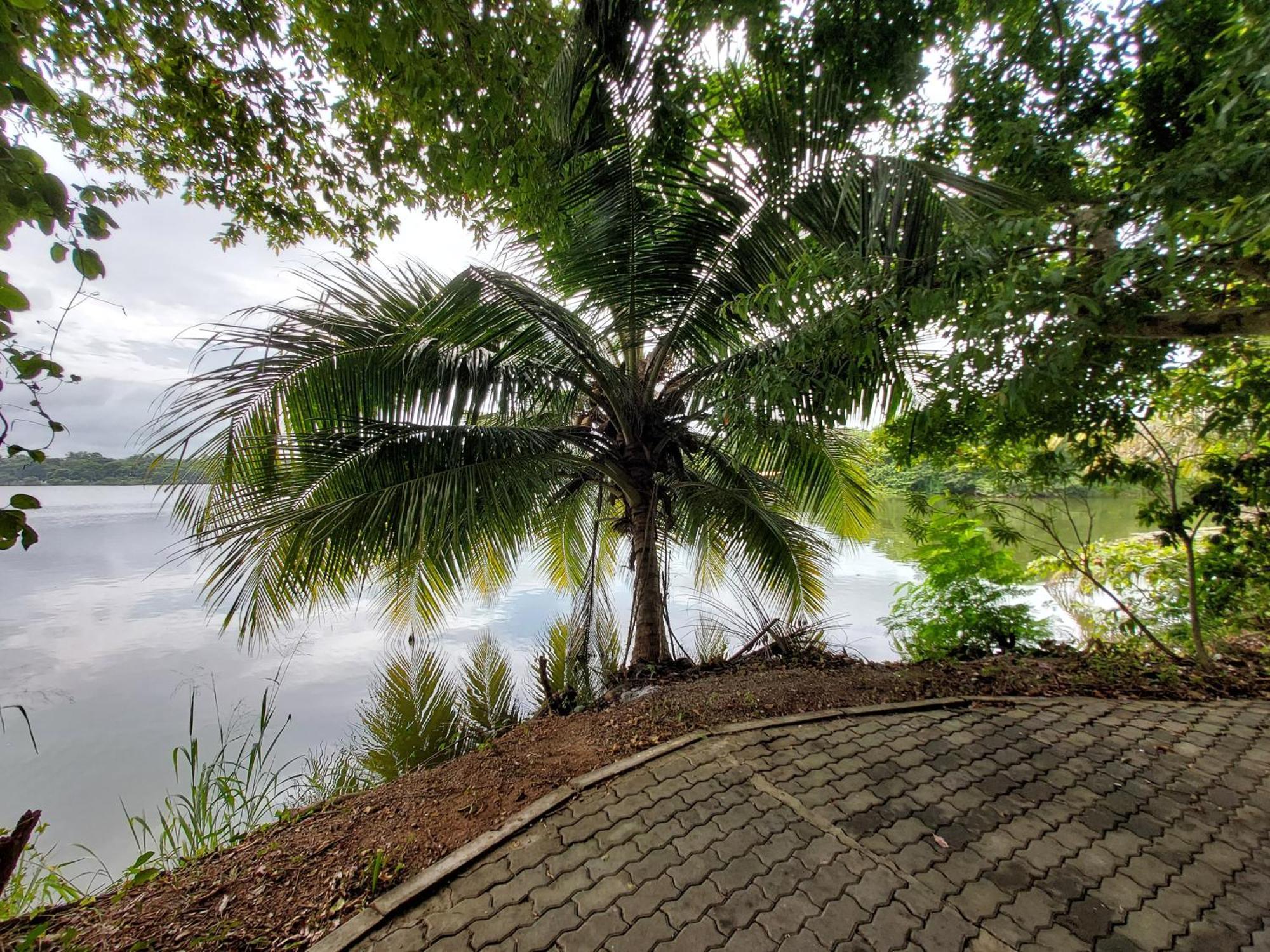 Lake Wave Hotel Anuradhapura Exteriör bild